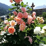 컨트리하우스 Gaestehaus Buechele Kleinwalsertal Hirschegg (Vorarlberg)