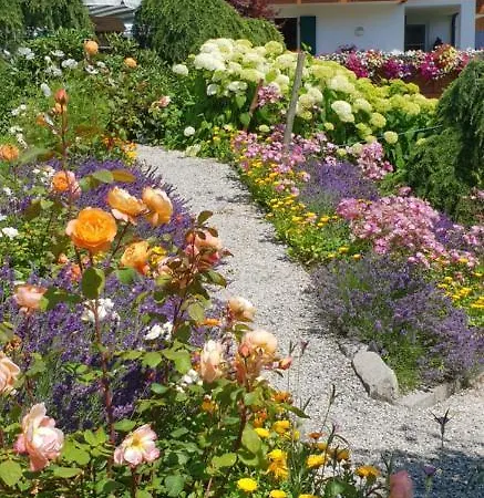 Gaestehaus Buechele Kleinwalsertal Hirschegg (Vorarlberg)
