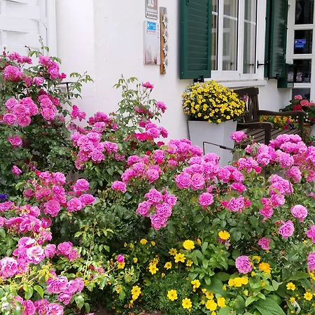 Gaestehaus Buechele Kleinwalsertal Séjour à la campagne Hirschegg (Vorarlberg)